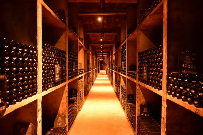 A long narrow room filled with lots of bottles